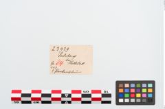 Etiketten zu Perlenkette (NHMW-PRAE-023929)